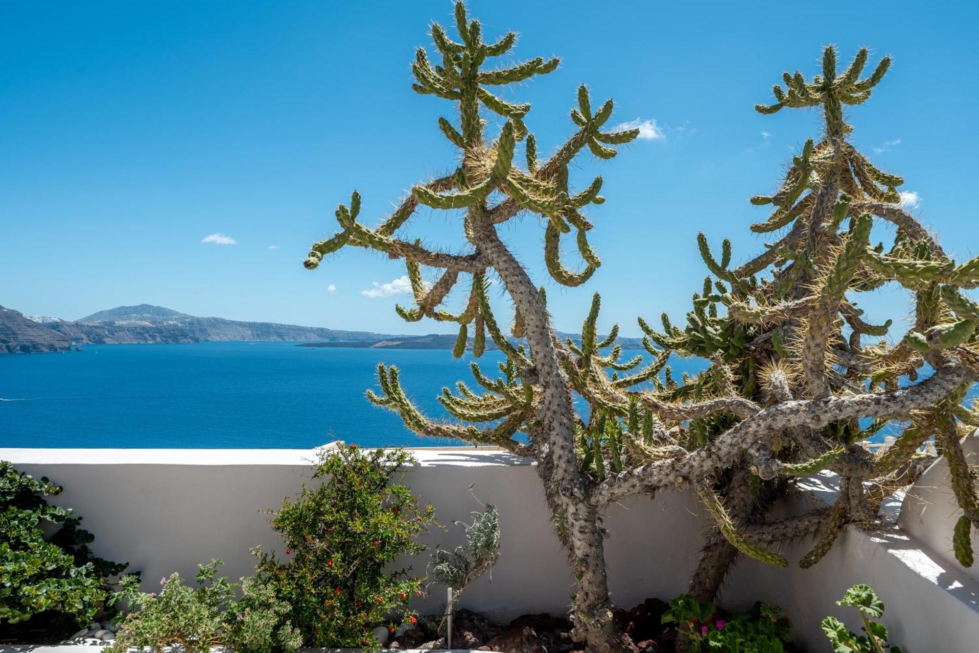 Passion Blue Villas Οία Εξωτερικό φωτογραφία